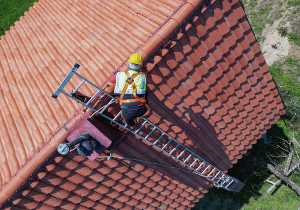 Best Roof Maintenance and Cleaning  in Berea, OH